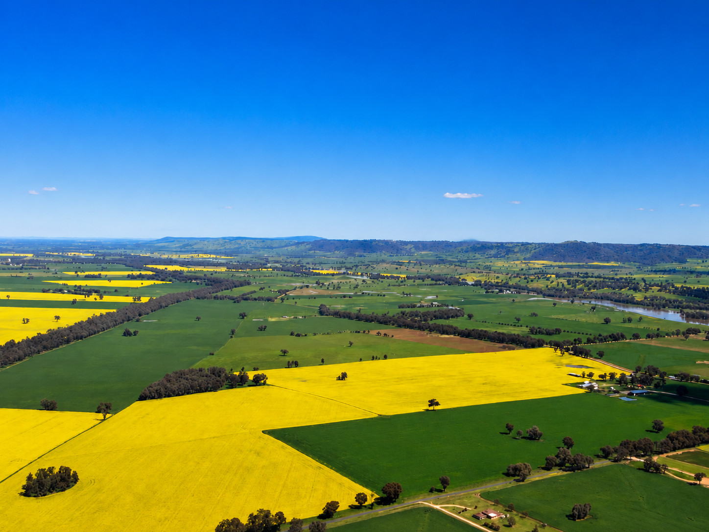 Cowra Image 5