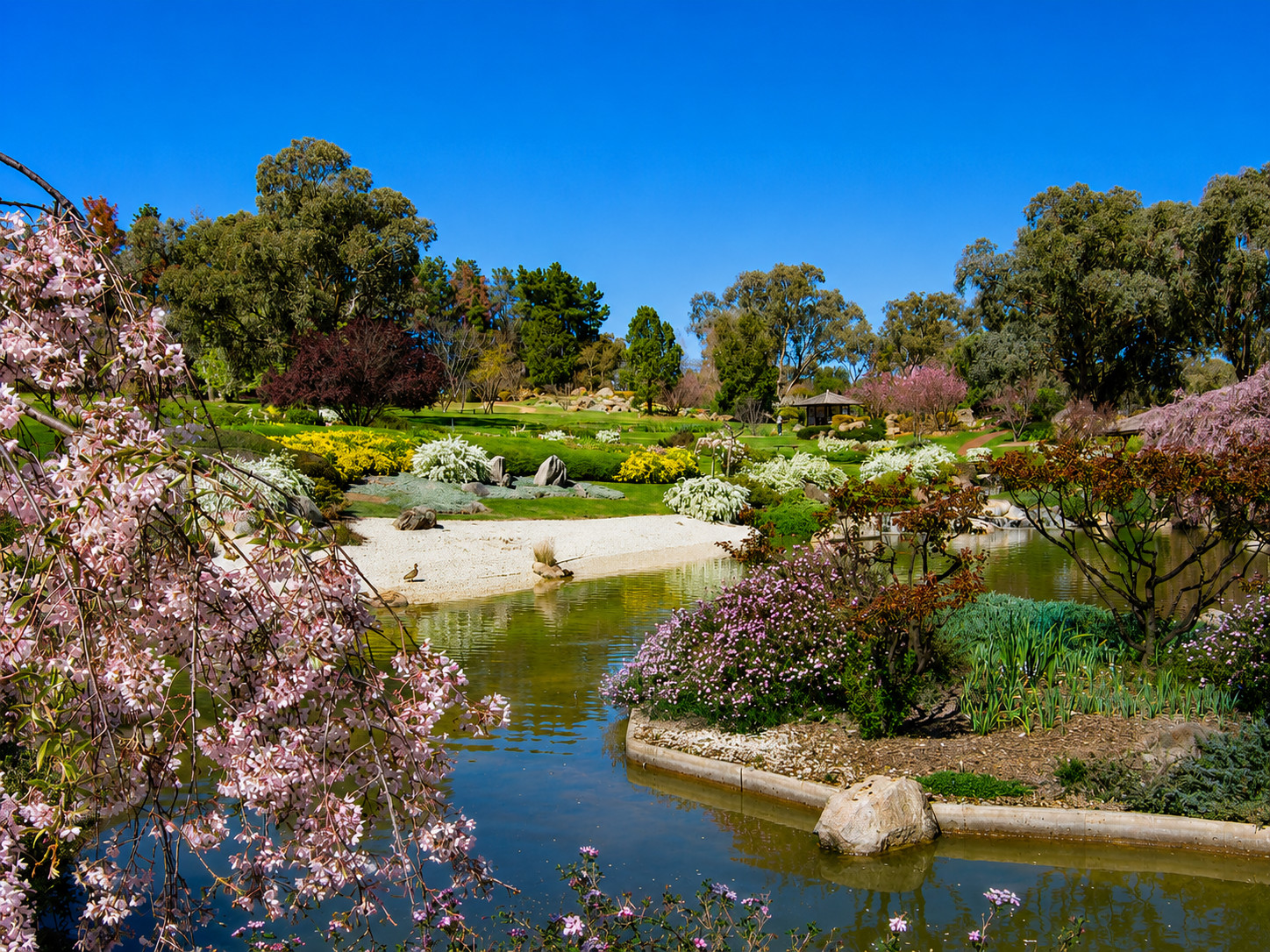 Cowra Image 4